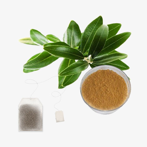 Kacip Fatimah OEM Supplement Manufacturing Malaysia