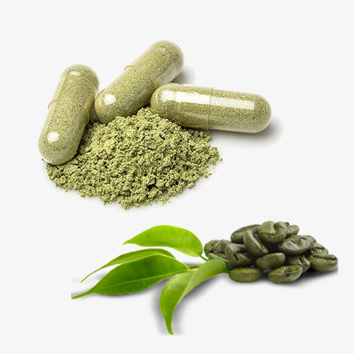 Green Coffee Extract Weight Loss Supplement OEM