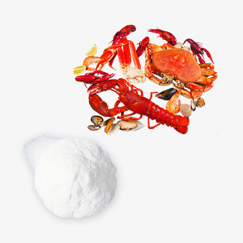 Chitosan Fat Binder Supplement OEM Manufacturing