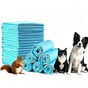 Factory Direct Wholesale Disposable Pet Dog Pee Pads with Reliable Quality Multi Sizes for Global Pet Supplies Bulk Orders